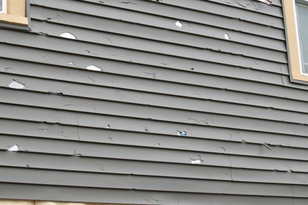 Best Steel Siding Installation  in USA